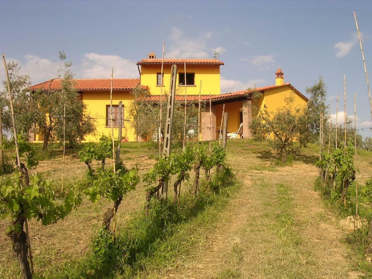 Villa In Campagna Costa Al Bagno Montopoli in Val dʼArno المظهر الخارجي الصورة