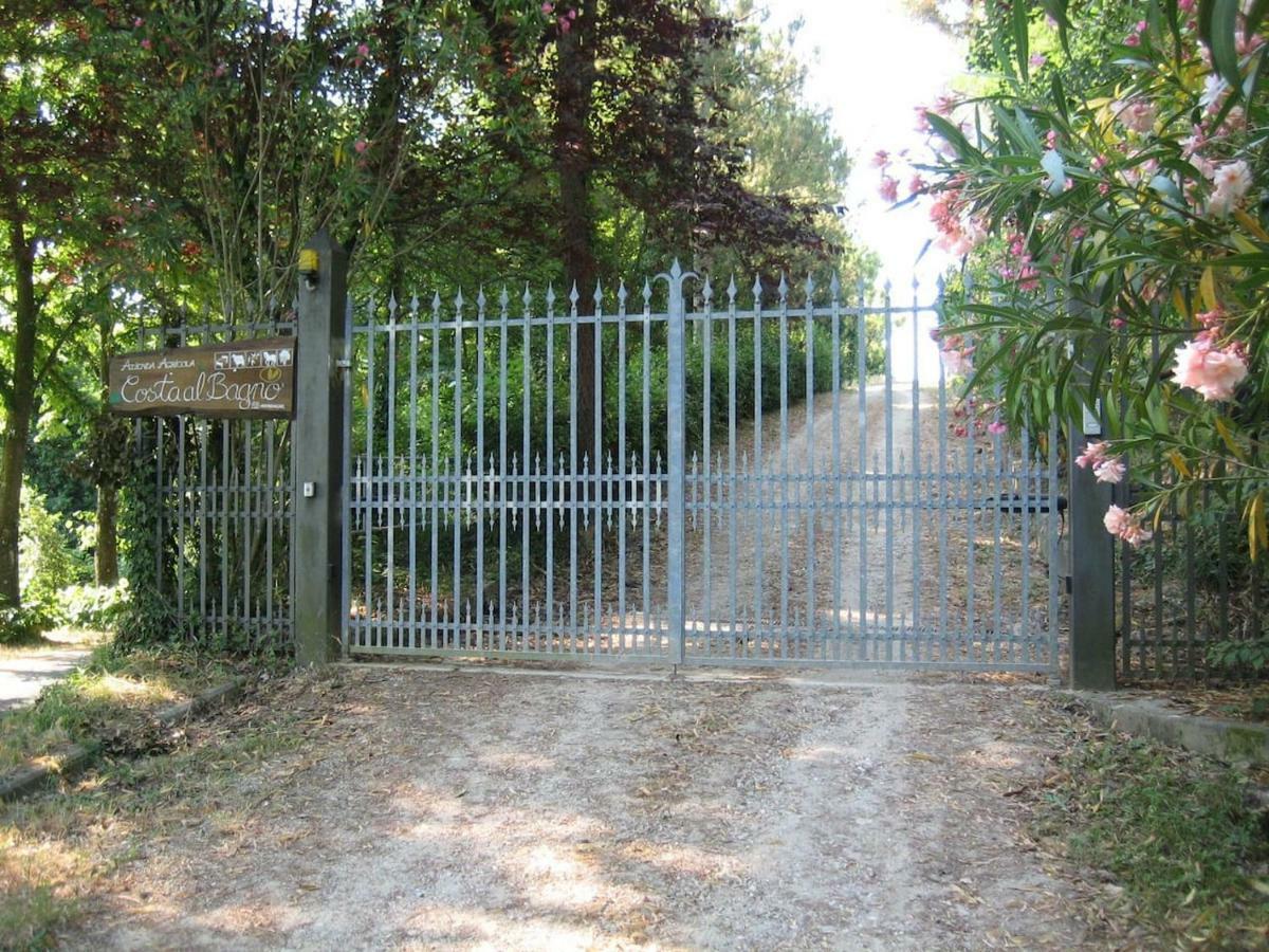 Villa In Campagna Costa Al Bagno Montopoli in Val dʼArno المظهر الخارجي الصورة