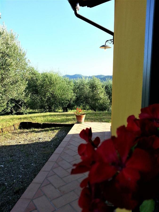 Villa In Campagna Costa Al Bagno Montopoli in Val dʼArno المظهر الخارجي الصورة